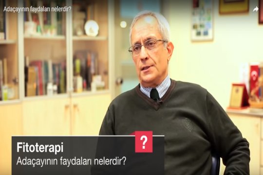 Ada Çayının Faydaları